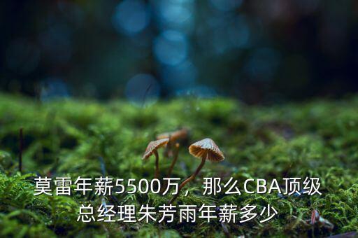 莫雷年薪5500萬，那么CBA頂級總經理朱芳雨年薪多少