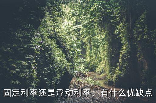 固定利率還是浮動(dòng)利率，有什么優(yōu)缺點(diǎn)