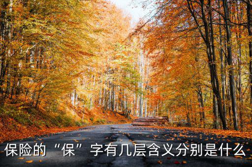 保險(xiǎn)的“?！弊钟袔讓雍x分別是什么