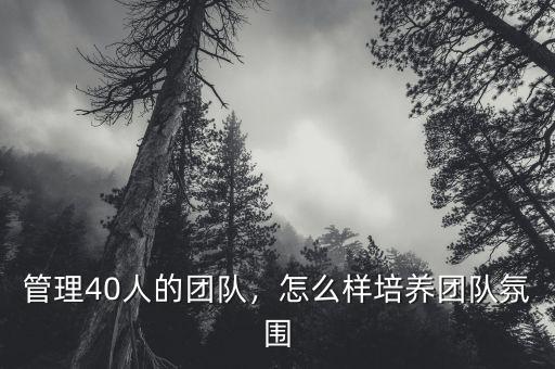 管理40人的團隊，怎么樣培養(yǎng)團隊氛圍