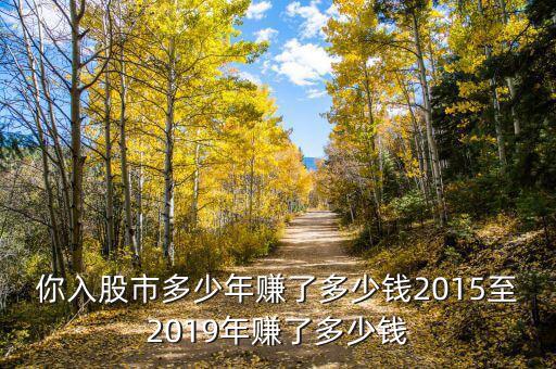 你入股市多少年賺了多少錢2015至2019年賺了多少錢