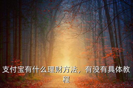 怎么用支付寶理財(cái),該如何用支付寶來理財(cái)呢