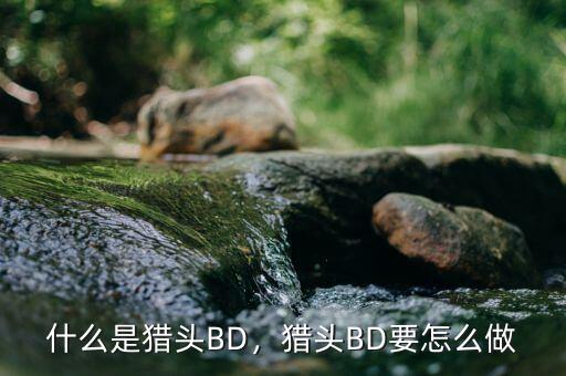 什么是獵頭BD，獵頭BD要怎么做