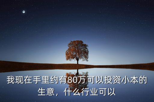 我現(xiàn)在手里約有80萬可以投資小本的生意，什么行業(yè)可以