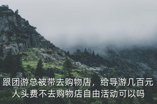 在購物時導(dǎo)游有什么責(zé)任,將有什么責(zé)任