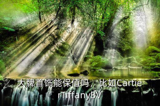 大牌首飾能保值嗎，比如CartierTiffanyBV