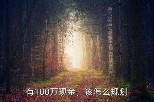 有100萬現(xiàn)金，該怎么規(guī)劃