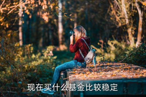 買(mǎi)什么基金比較穩(wěn)定,現(xiàn)在買(mǎi)什么基金比較穩(wěn)定