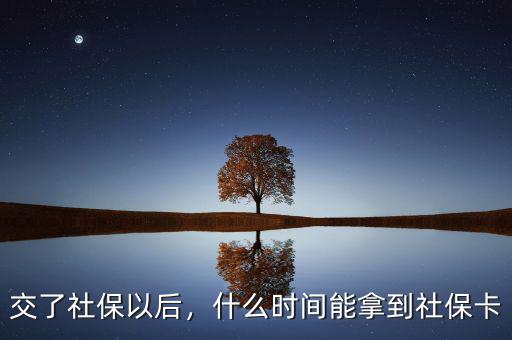 交了社保以后，什么時間能拿到社保卡