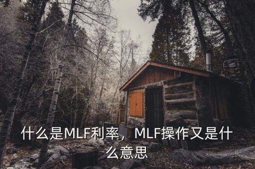 什么是MLF利率，MLF操作又是什么意思