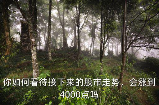 股市4000點(diǎn)是什么意思,會(huì)漲到4000點(diǎn)嗎