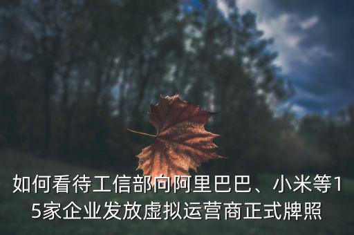 如何看待工信部向阿里巴巴、小米等15家企業(yè)發(fā)放虛擬運營商正式牌照