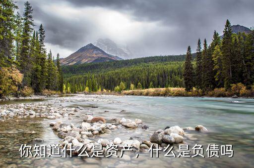 你知道什么是資產(chǎn)，什么是負債嗎