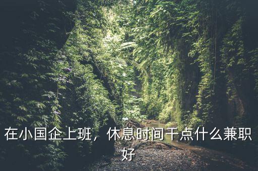 在小國企上班，休息時(shí)間干點(diǎn)什么兼職好