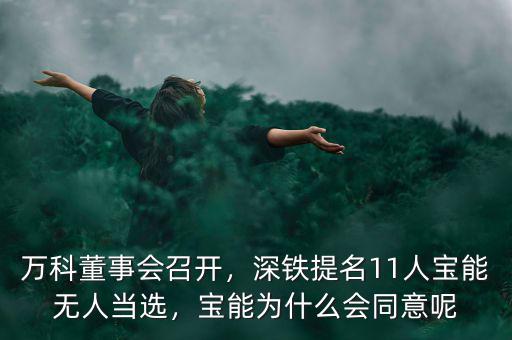 萬科董事會(huì)召開，深鐵提名11人寶能無人當(dāng)選，寶能為什么會(huì)同意呢