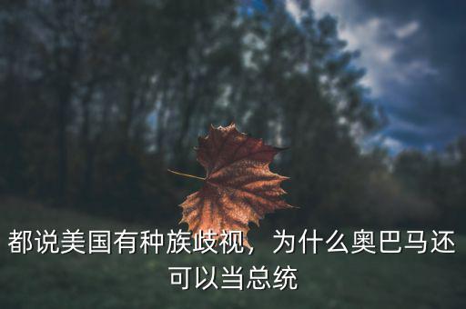 都說美國有種族歧視，為什么奧巴馬還可以當總統(tǒng)