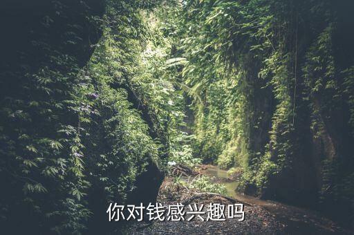 你對錢感興趣嗎