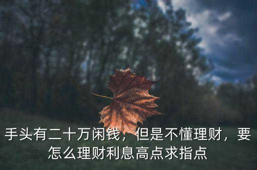 手頭有二十萬閑錢，但是不懂理財，要怎么理財利息高點求指點