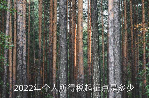 2022年個人所得稅起征點(diǎn)是多少