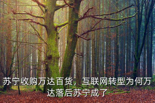 蘇寧收購(gòu)萬(wàn)達(dá)百貨，互聯(lián)網(wǎng)轉(zhuǎn)型為何萬(wàn)達(dá)落后蘇寧成了