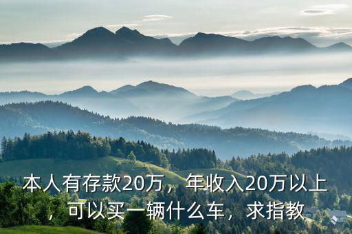 本人有存款20萬，年收入20萬以上，可以買一輛什么車，求指教