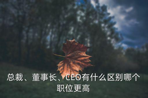 總裁、董事長、CEO有什么區(qū)別哪個(gè)職位更高