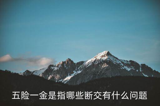 五險(xiǎn)一金指的是什么,五險(xiǎn)一金是指哪些