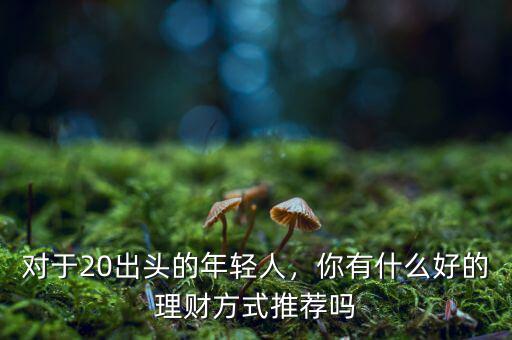 對(duì)于20出頭的年輕人，你有什么好的理財(cái)方式推薦嗎