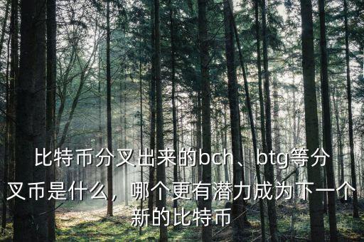 比特幣分叉出來的bch、btg等分叉幣是什么，哪個更有潛力成為下一個新的比特幣