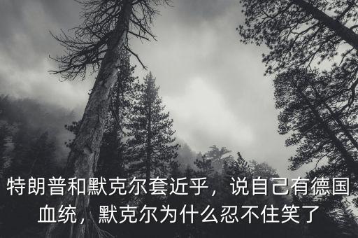 默克爾為什么受歡迎,特朗普和默克爾套近乎