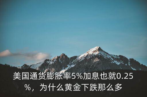 美國通貨膨脹率5%加息也就0.25%，為什么黃金下跌那么多