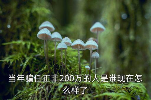 當年騙任正非200萬的人是誰現(xiàn)在怎么樣了