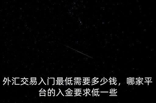 外匯交易入門最低需要多少錢，哪家平臺的入金要求低一些