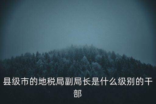 縣級(jí)市的地稅局副局長是什么級(jí)別的干部