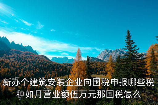 新辦個(gè)建筑安裝企業(yè)向國(guó)稅申報(bào)哪些稅種如月?tīng)I(yíng)業(yè)額伍萬(wàn)元那國(guó)稅怎么