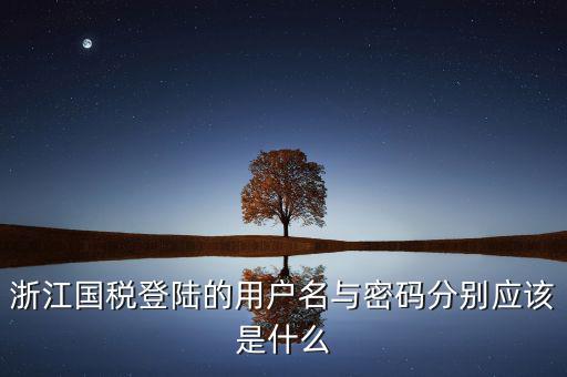 浙江省網(wǎng)上稅務(wù)局賬號是什么，電子稅務(wù)局賬號是什么號碼