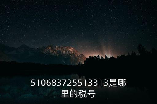 510683725513313是哪里的稅號