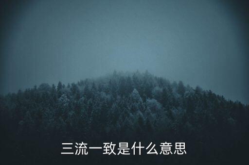 發(fā)票 流向一致是什么意思，發(fā)票四流一致是哪四流