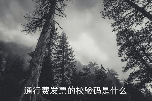 查驗發(fā)票驗證碼是什么，通行費發(fā)票的校驗碼是什么