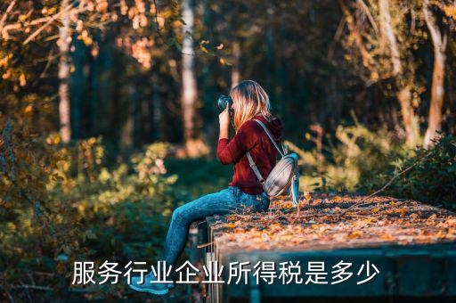 什么是接受服務企業(yè)所得稅，服務行業(yè)企業(yè)所得稅是多少