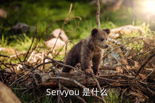 servyou是什么意思，Servyou 是什么