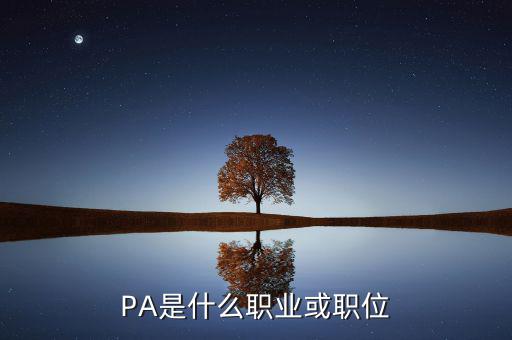 河南省國稅局陳紅偉什么職務(wù)，PA是什么職業(yè)或職位