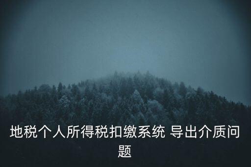 地稅個人所得稅扣繳系統(tǒng) 導(dǎo)出介質(zhì)問題