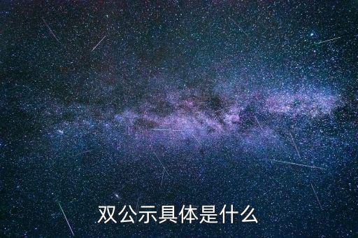 雙公示具體是什么