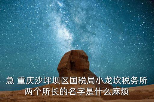 稅務(wù)所所長(zhǎng)什么級(jí)別，地稅局基層稅務(wù)所屬什么層級(jí)