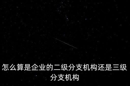 什么叫企業(yè)二級(jí)分支機(jī)構(gòu)，現(xiàn)在分公司要辦稅務(wù)登記證但是我想問(wèn)一下二級(jí)分機(jī)構(gòu)指的是