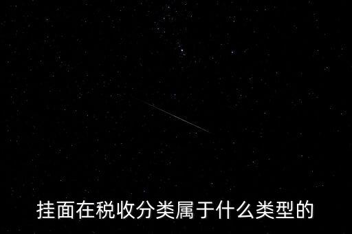 掛面在稅收分類屬于什么類型的