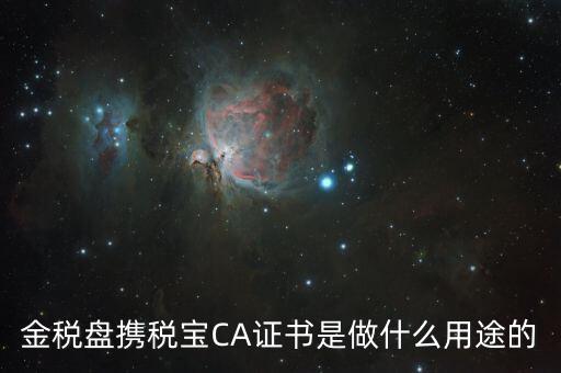 稅友的ca是什么，什么是稅務(wù)局的CA證書