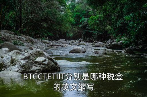 bt 是什么稅，BTCCTETIIT分別是哪種稅金的英文縮寫