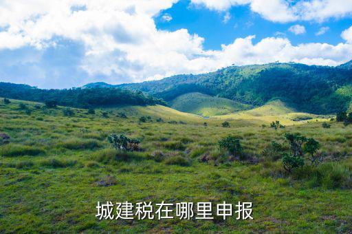 地稅城市維護建設(shè)稅按什么申報，城建稅申報